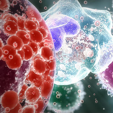 Immune Health