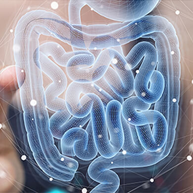 Digestive health